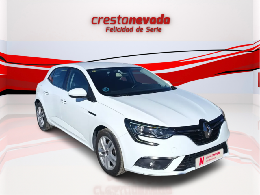 Imagen de Renault Mégane