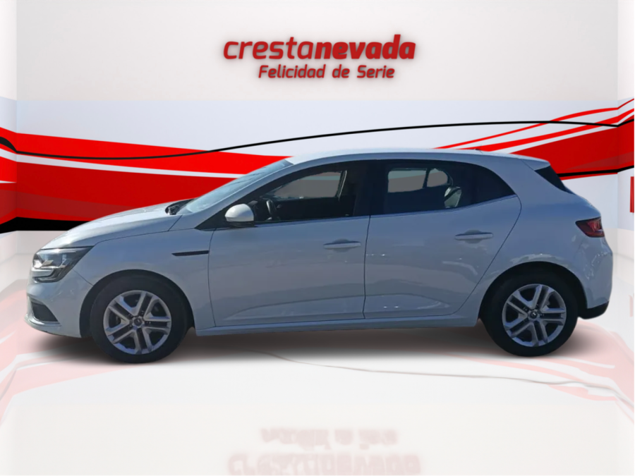 Imagen de Renault Mégane