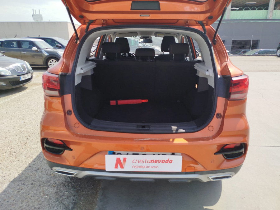Imagen de Mg ZS