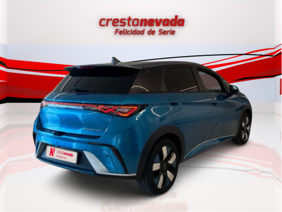 Imagen de byd Dolphin