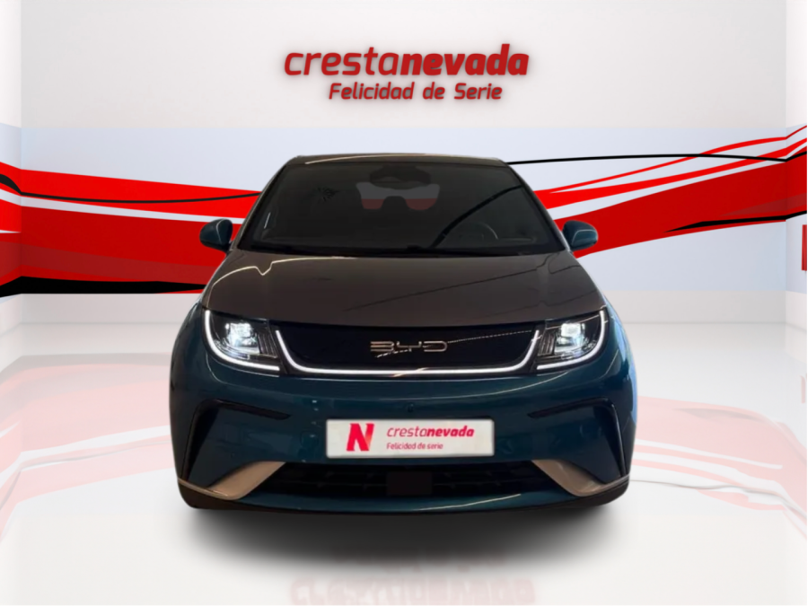 Imagen de byd Dolphin