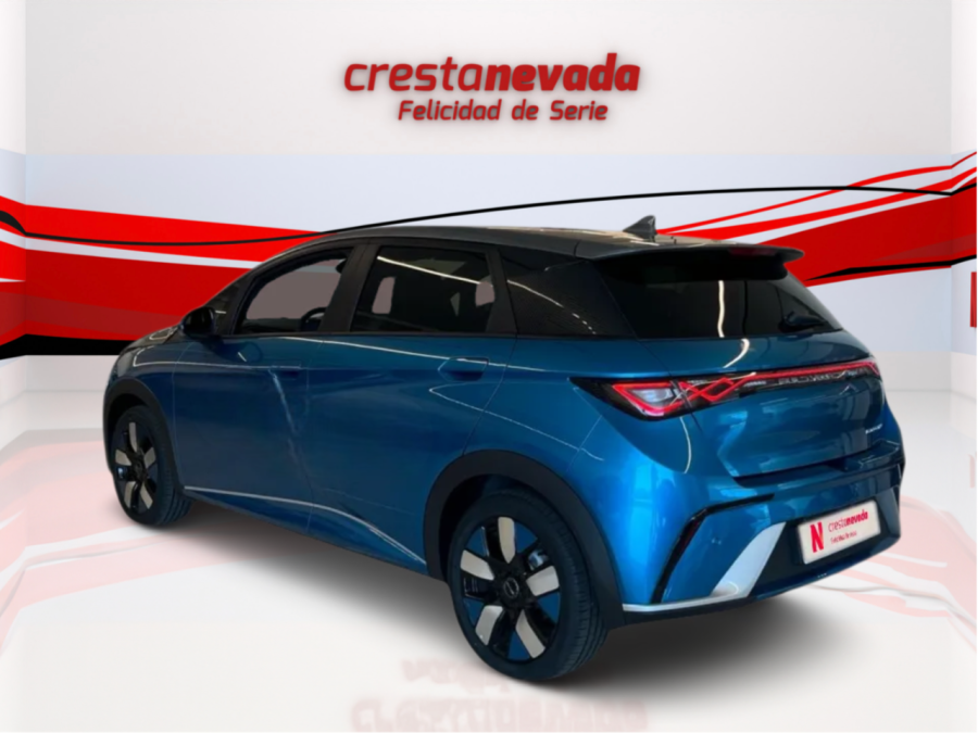 Imagen de byd Dolphin