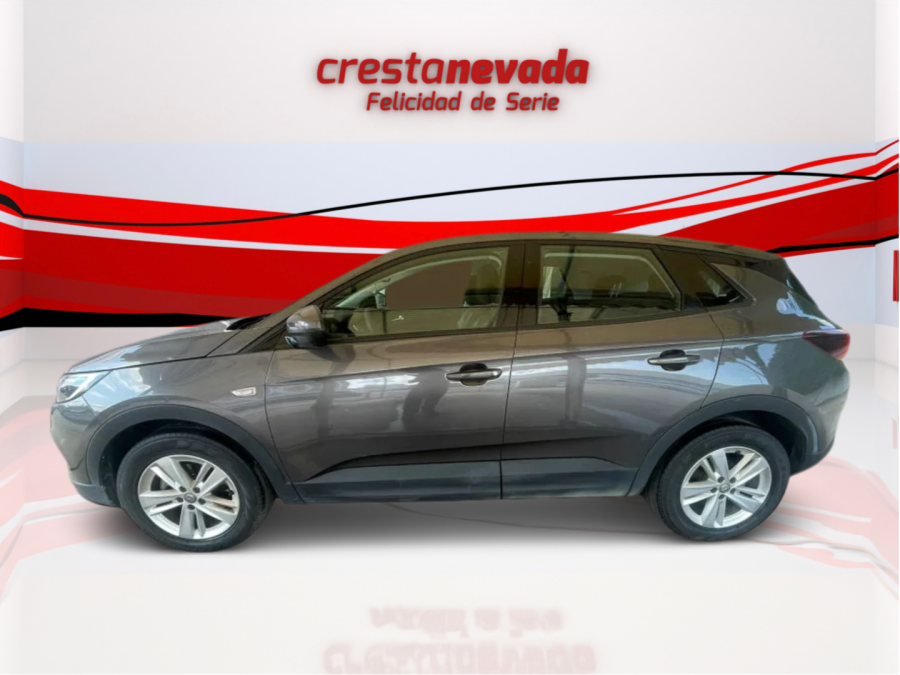 Imagen de Opel Grandland X