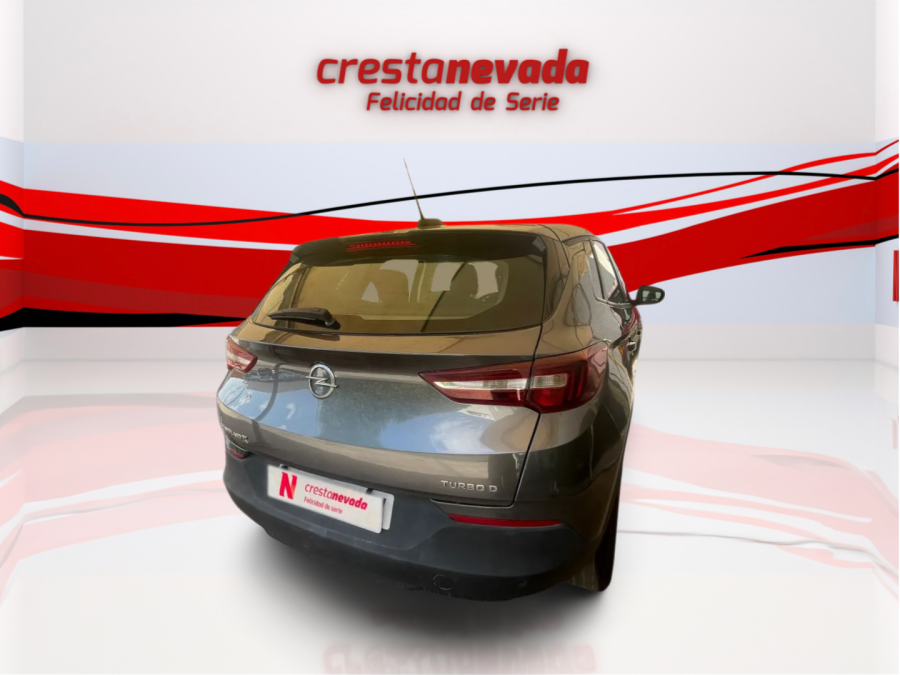 Imagen de Opel Grandland X