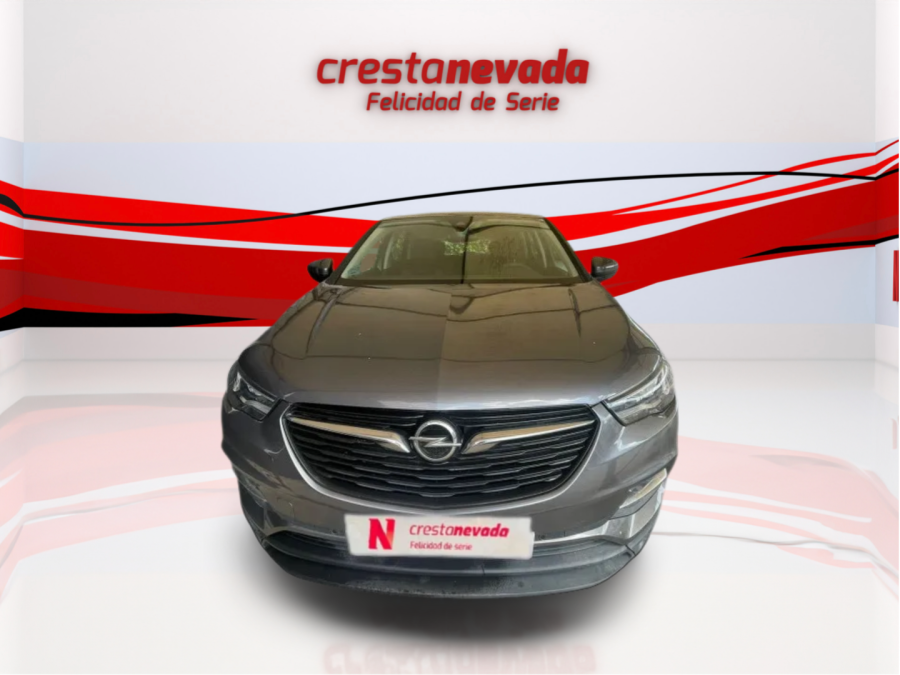 Imagen de Opel Grandland X