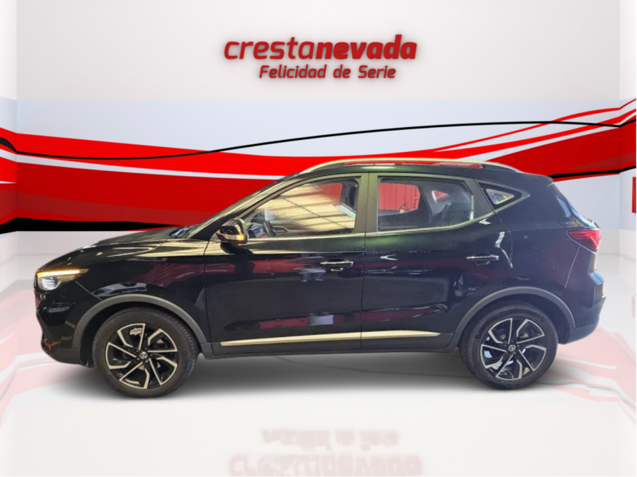 Imagen de Mg ZS