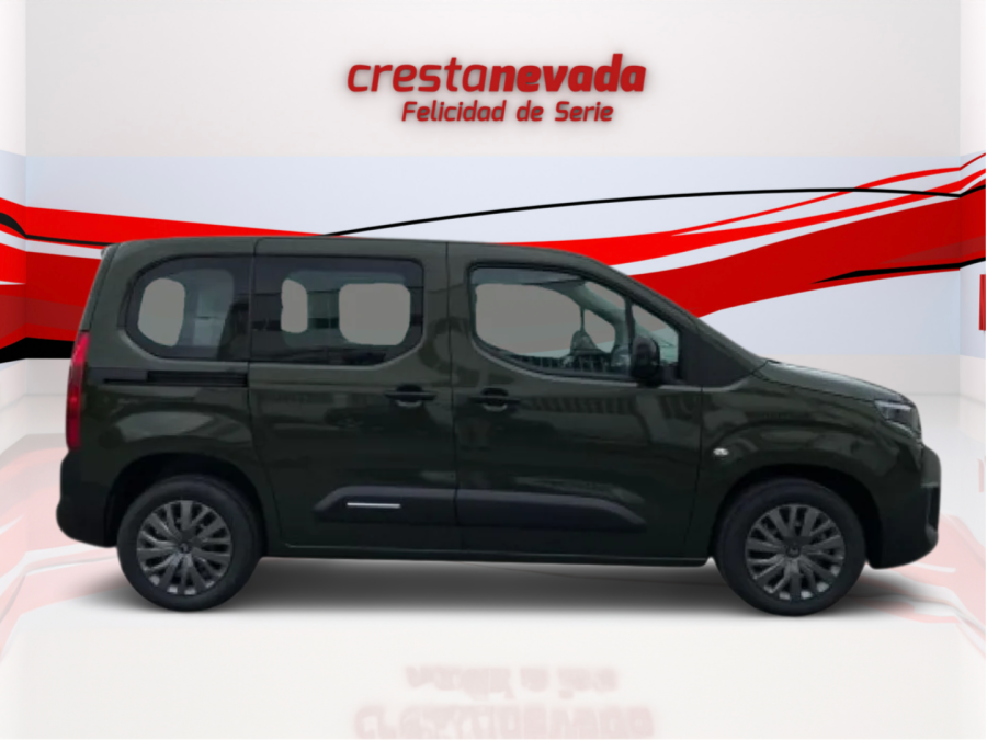 Imagen de CITROEN Berlingo