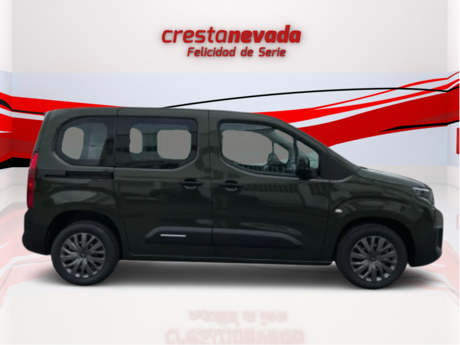 Imagen de CITROEN Berlingo