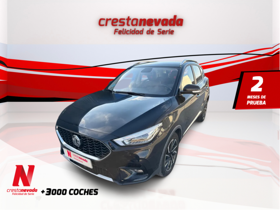 Imagen de Mg ZS