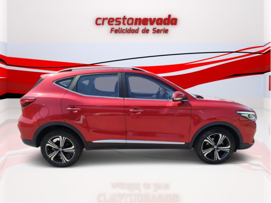 Imagen de Mg ZS
