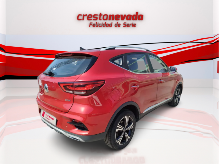 Imagen de Mg ZS
