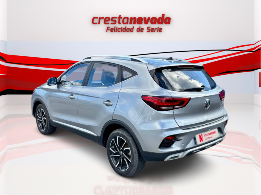 Imagen de Mg ZS