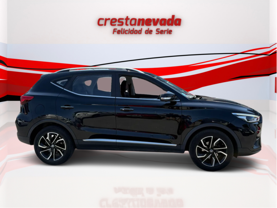 Imagen de Mg ZS