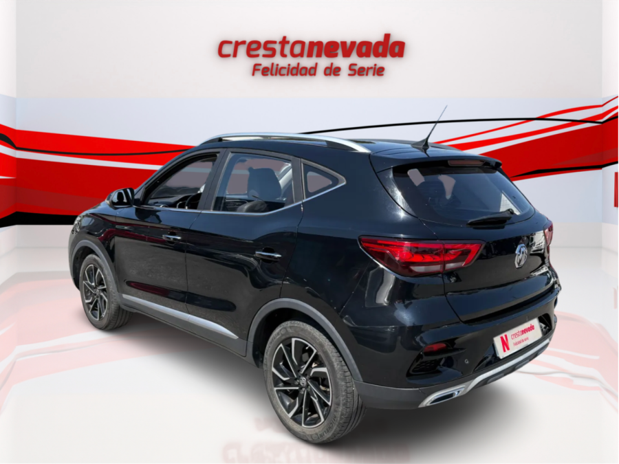 Imagen de Mg ZS