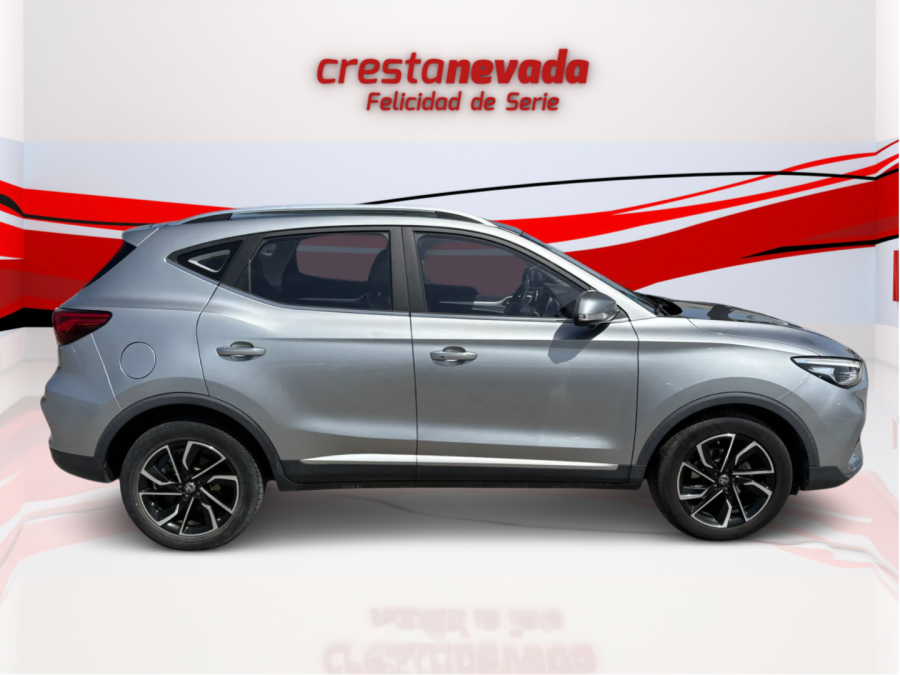 Imagen de Mg ZS