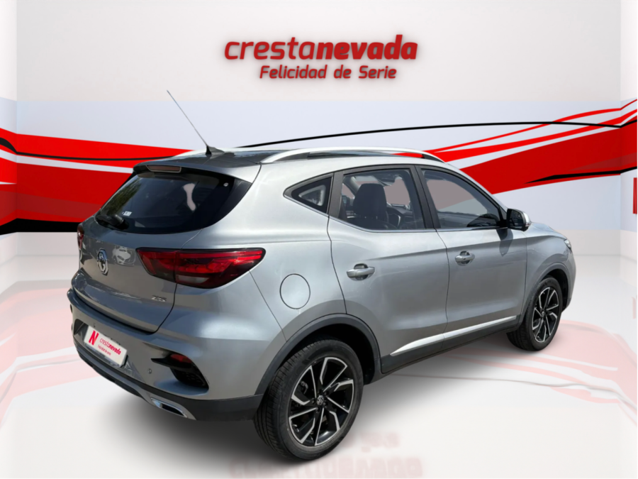 Imagen de Mg ZS
