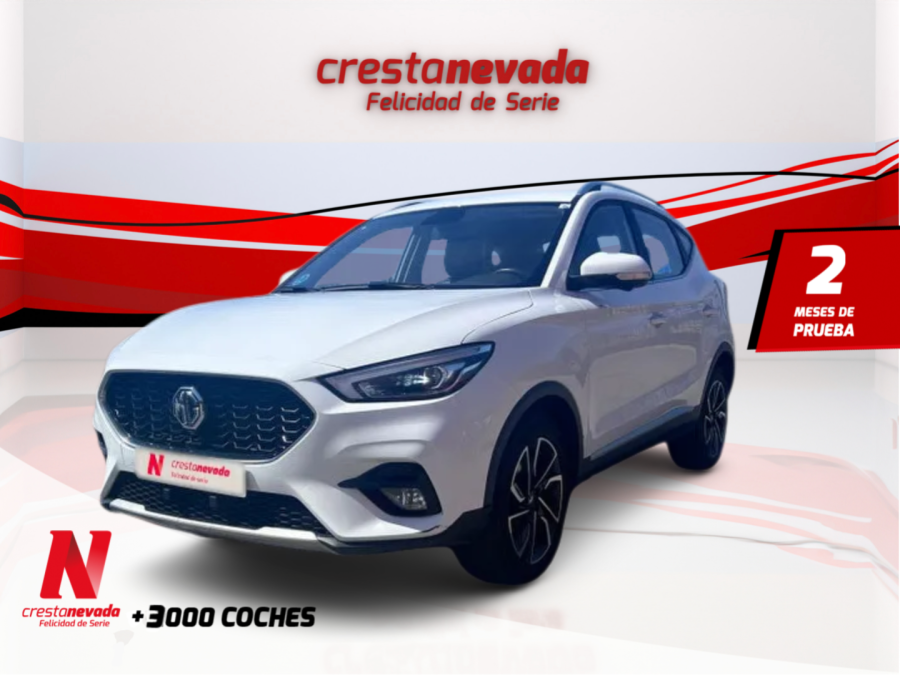 Imagen de Mg ZS