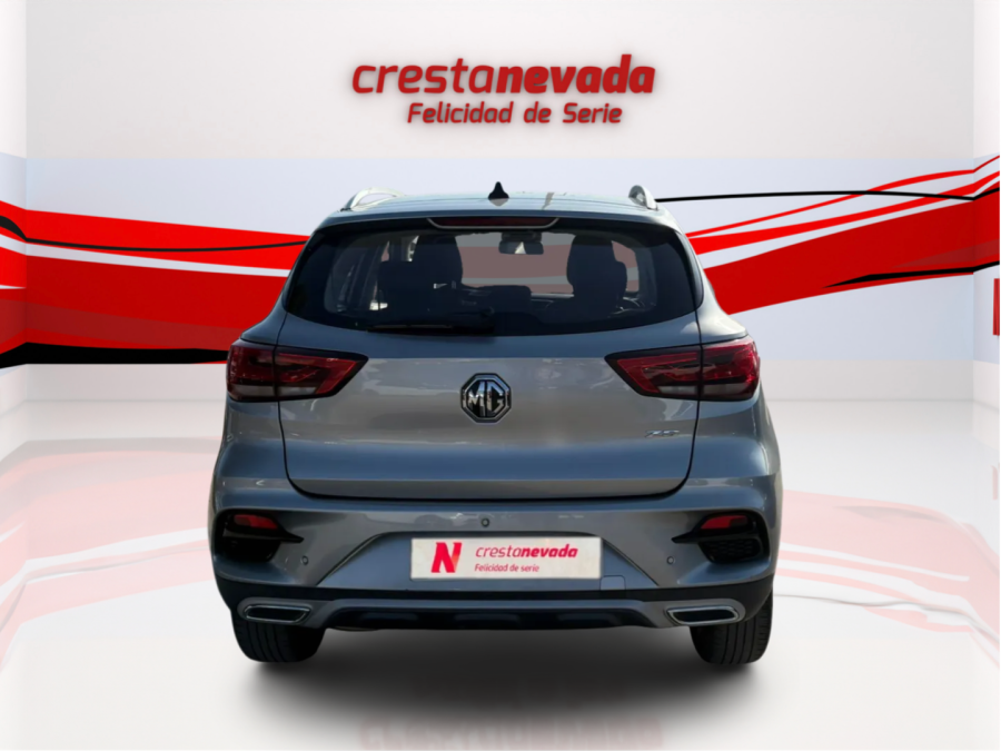 Imagen de Mg ZS
