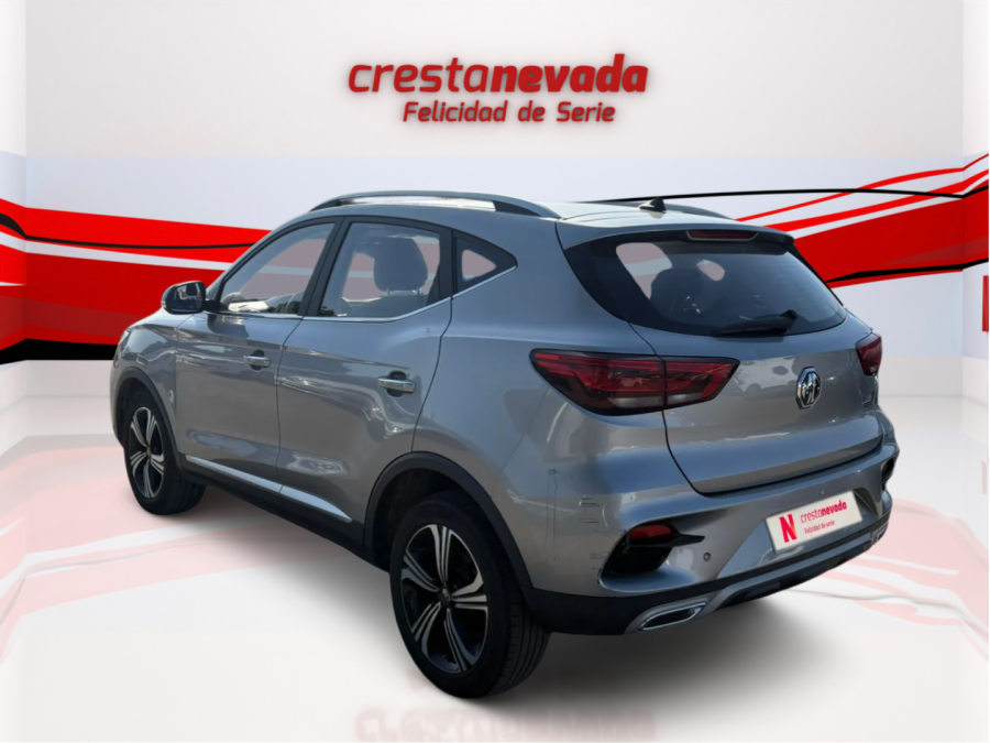 Imagen de Mg ZS