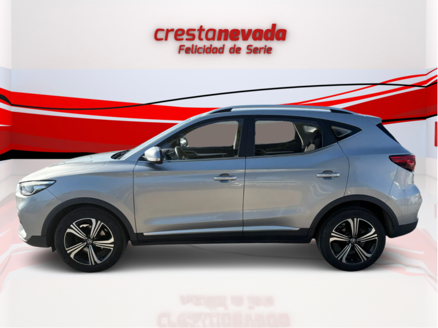 Imagen de Mg ZS