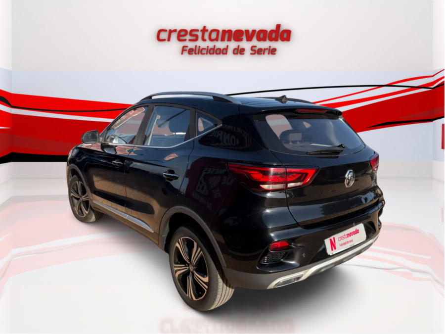 Imagen de Mg ZS