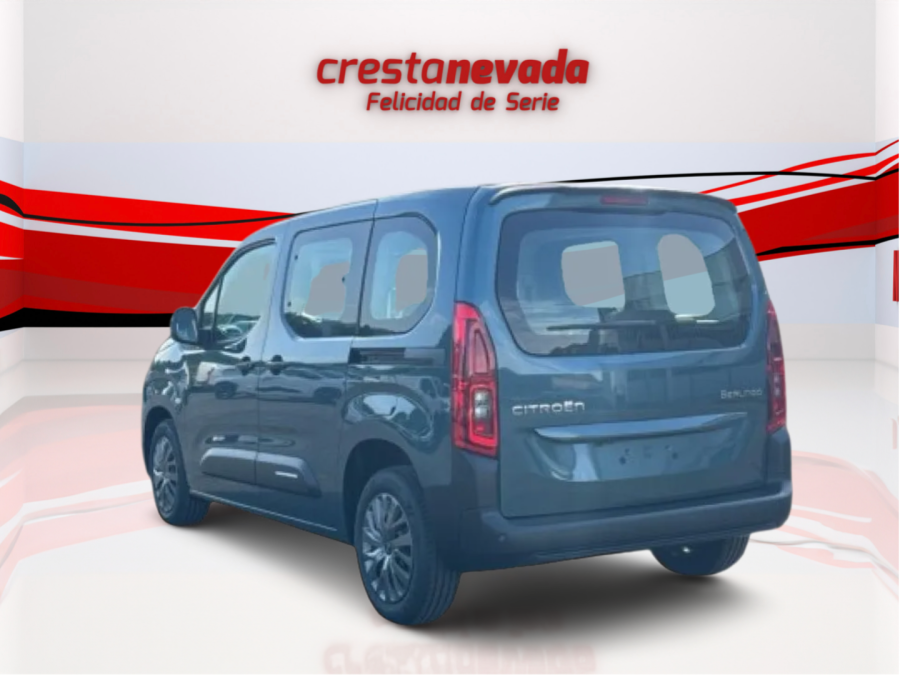 Imagen de Citroën BERLINGO