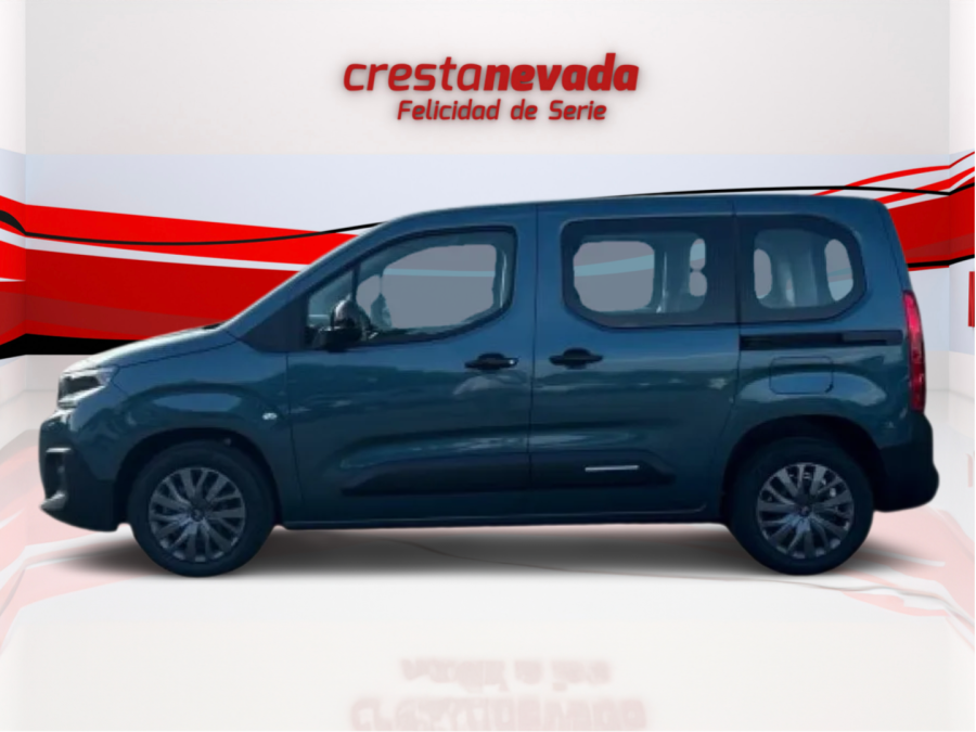 Imagen de Citroën BERLINGO