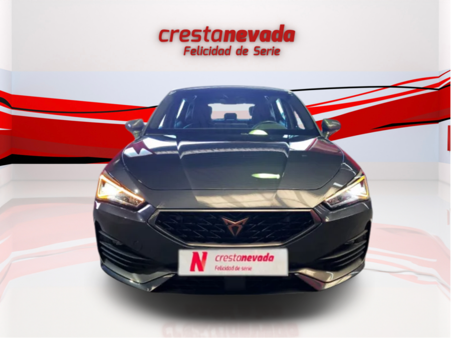 Imagen de cupra León