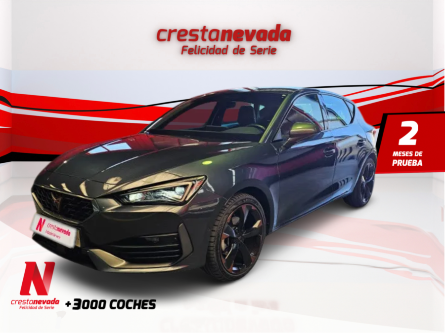 Imagen de cupra León