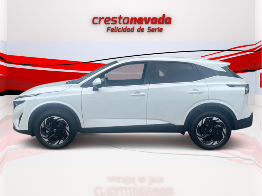 Imagen de NISSAN QASHQAI