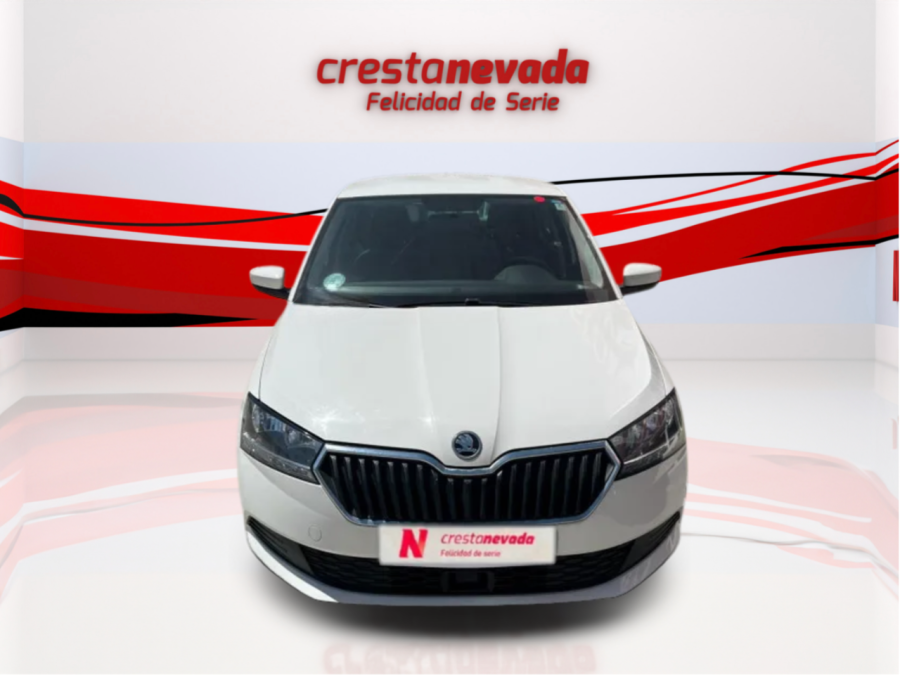 Imagen de Skoda Fabia