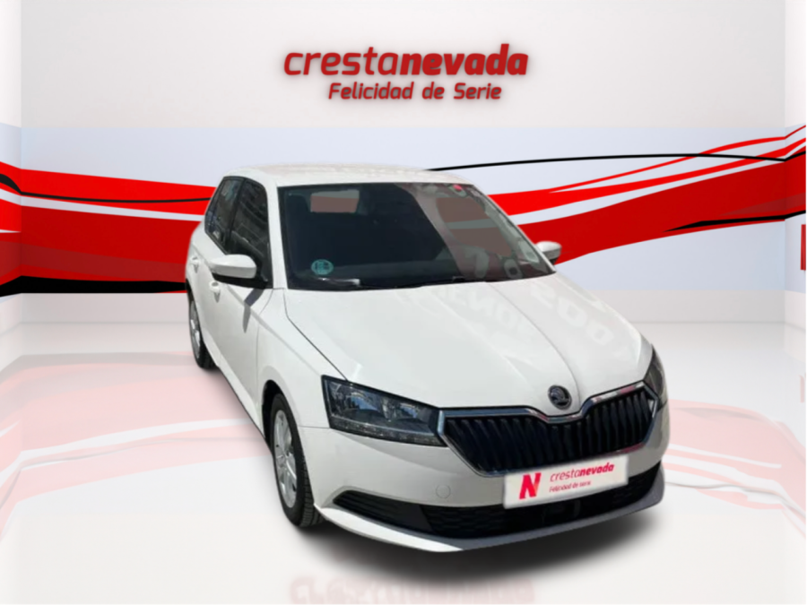 Imagen de Skoda Fabia