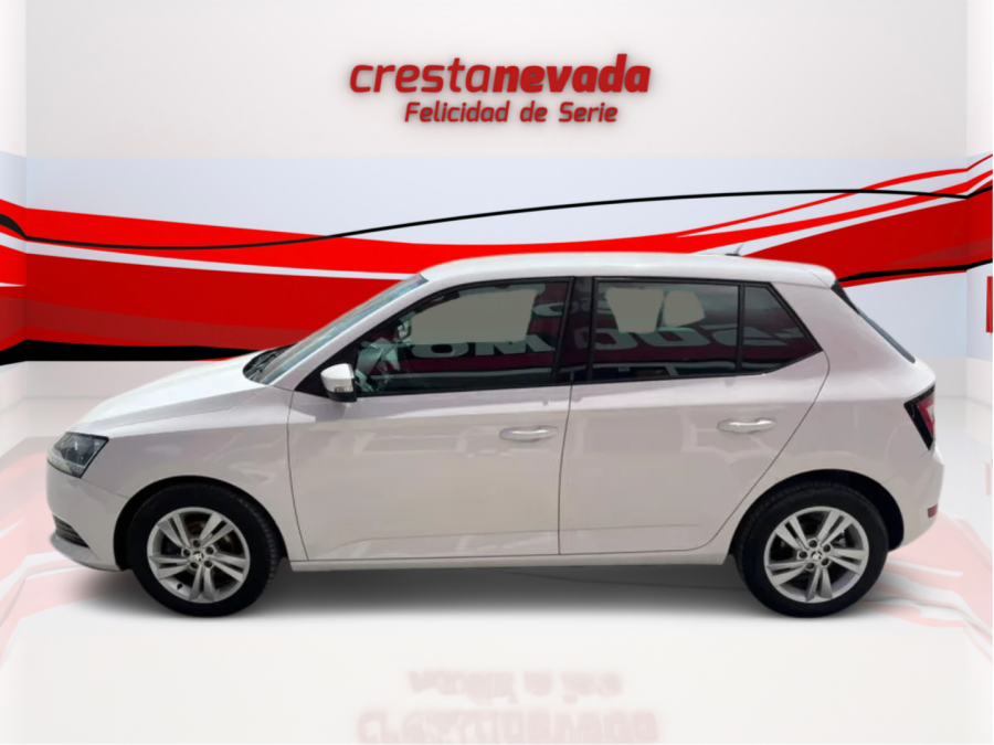 Imagen de Skoda Fabia