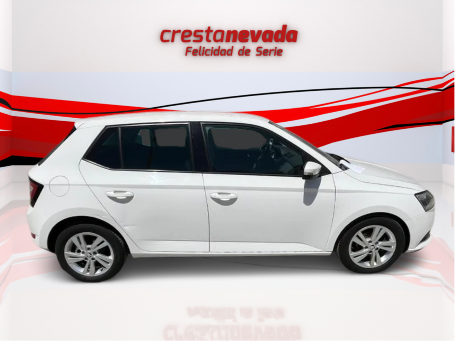 Imagen de Skoda Fabia