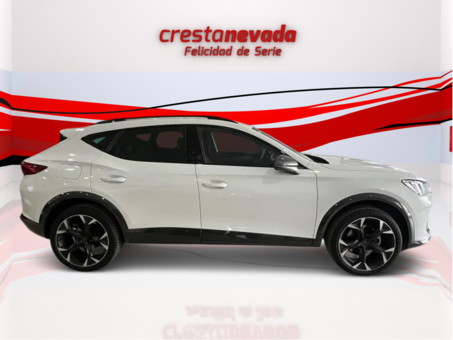 Imagen de cupra Formentor