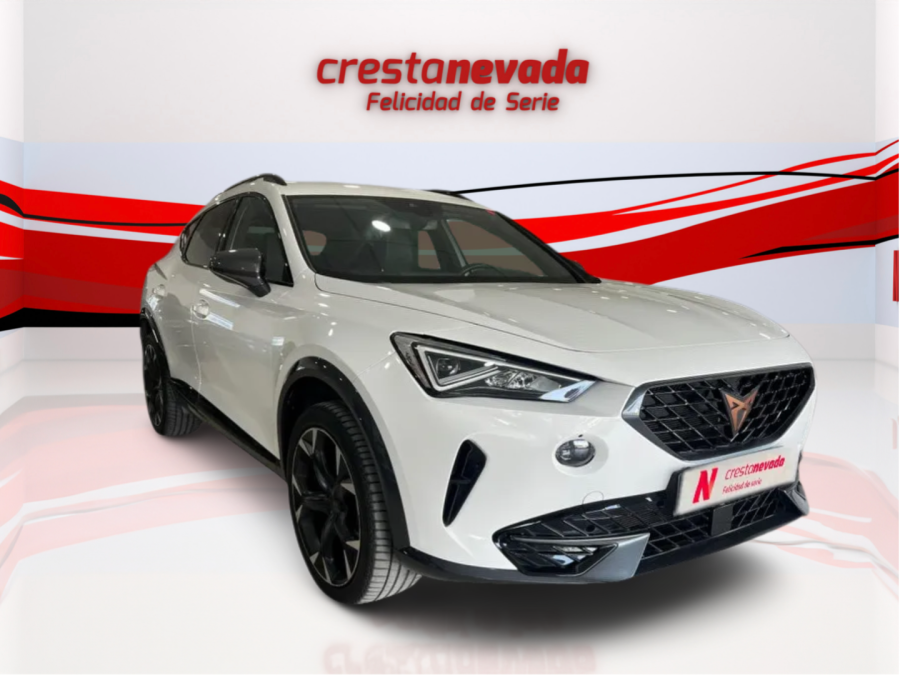 Imagen de cupra Formentor