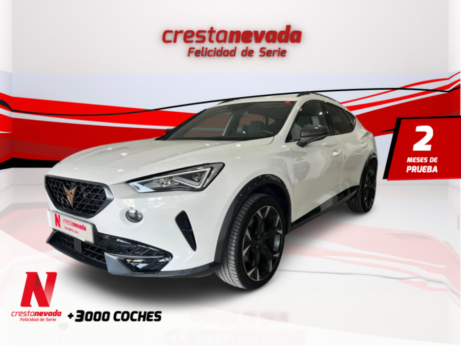 Imagen de cupra Formentor