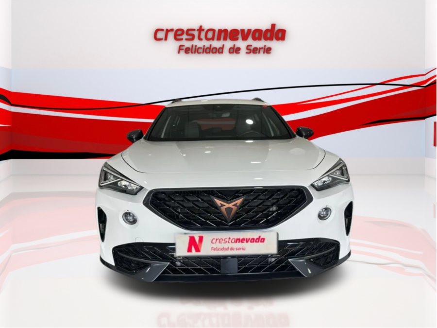 Imagen de cupra Formentor