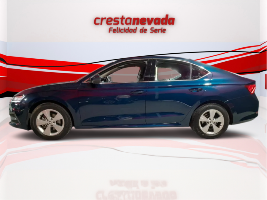 Imagen de Skoda Octavia