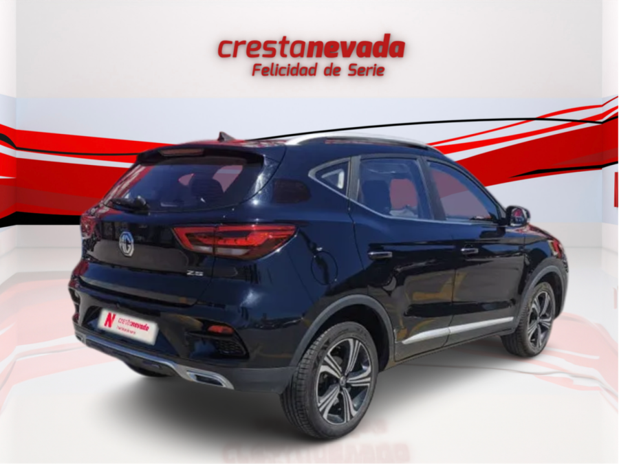 Imagen de Mg ZS