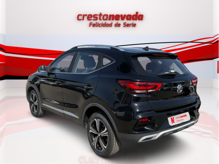 Imagen de Mg ZS