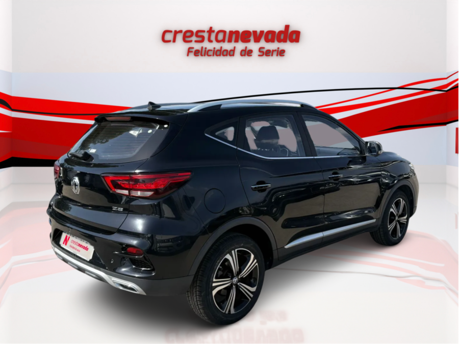 Imagen de Mg ZS