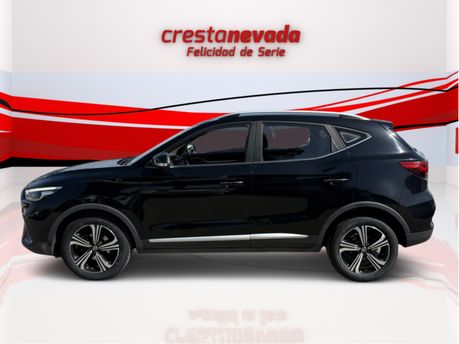 Imagen de Mg ZS