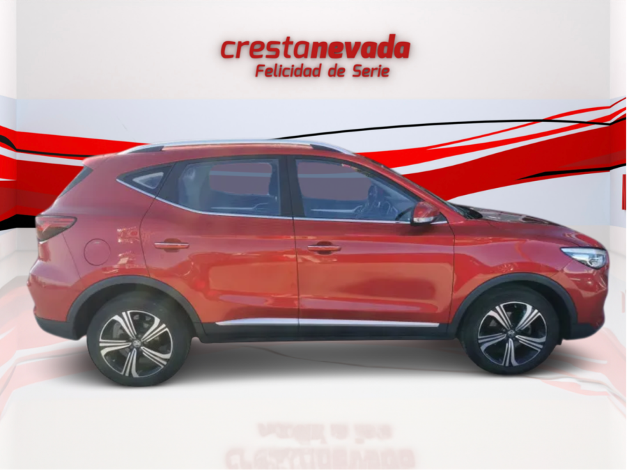 Imagen de Mg ZS