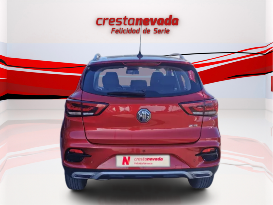 Imagen de Mg ZS