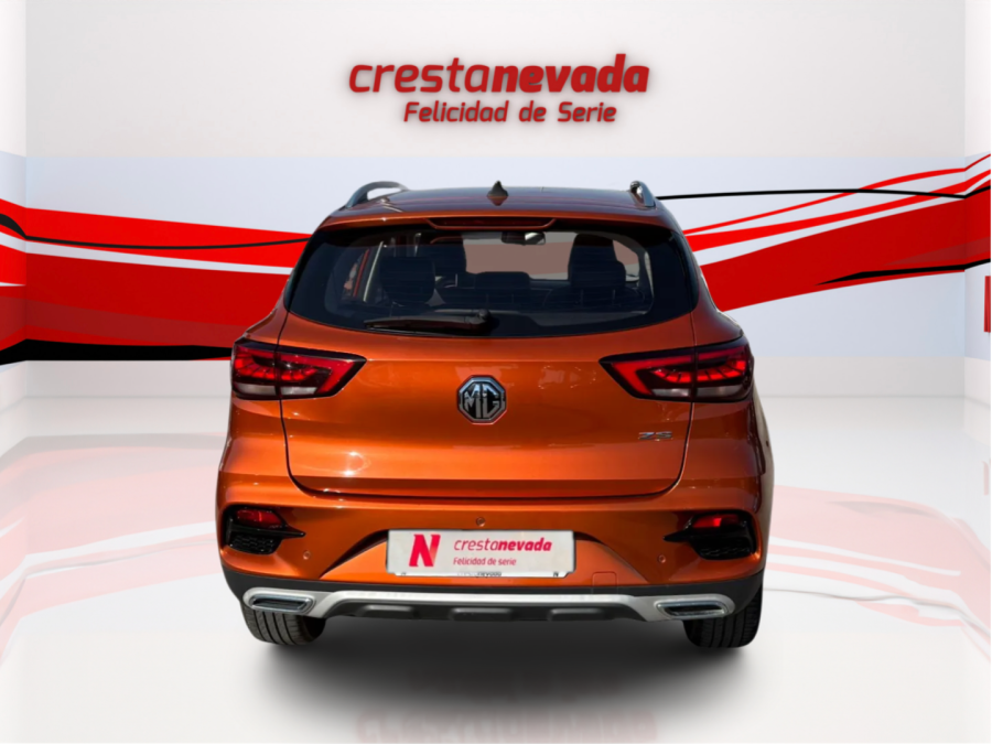 Imagen de Mg ZS