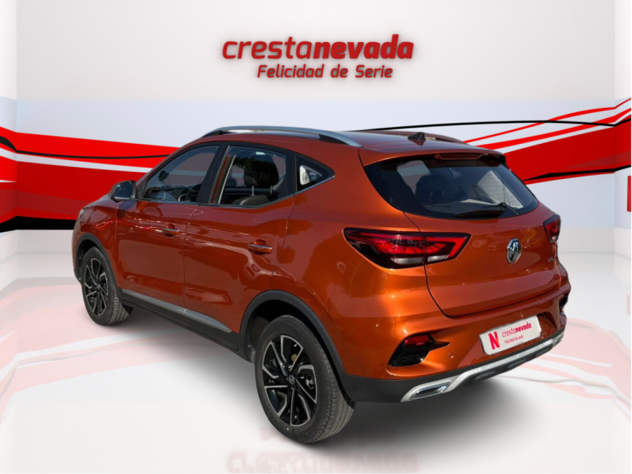Imagen de Mg ZS
