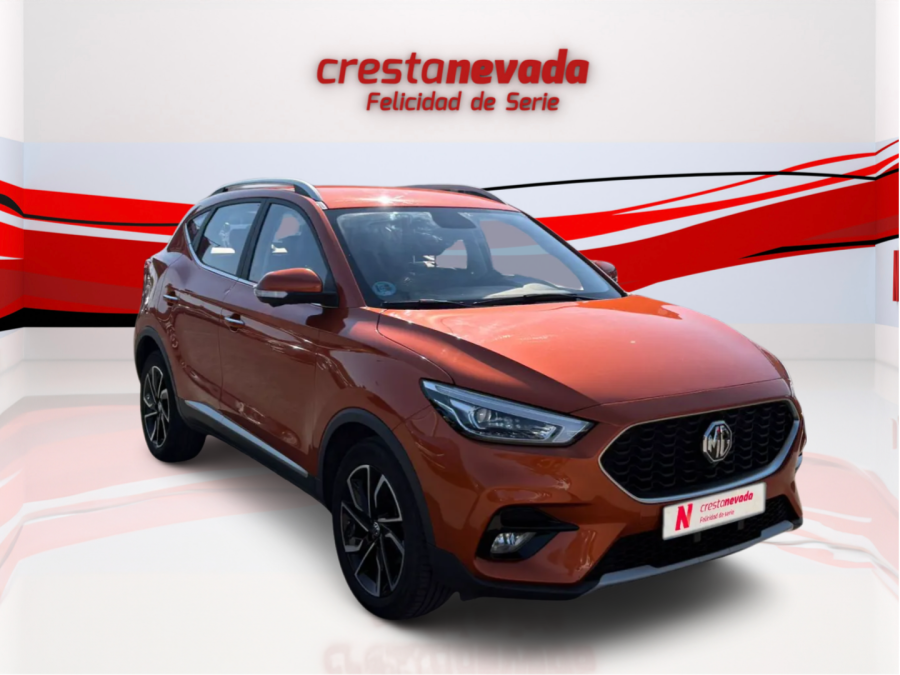 Imagen de Mg ZS
