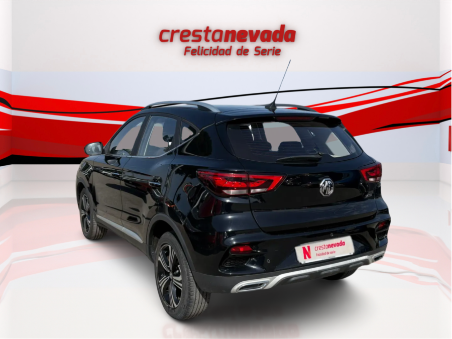 Imagen de Mg ZS