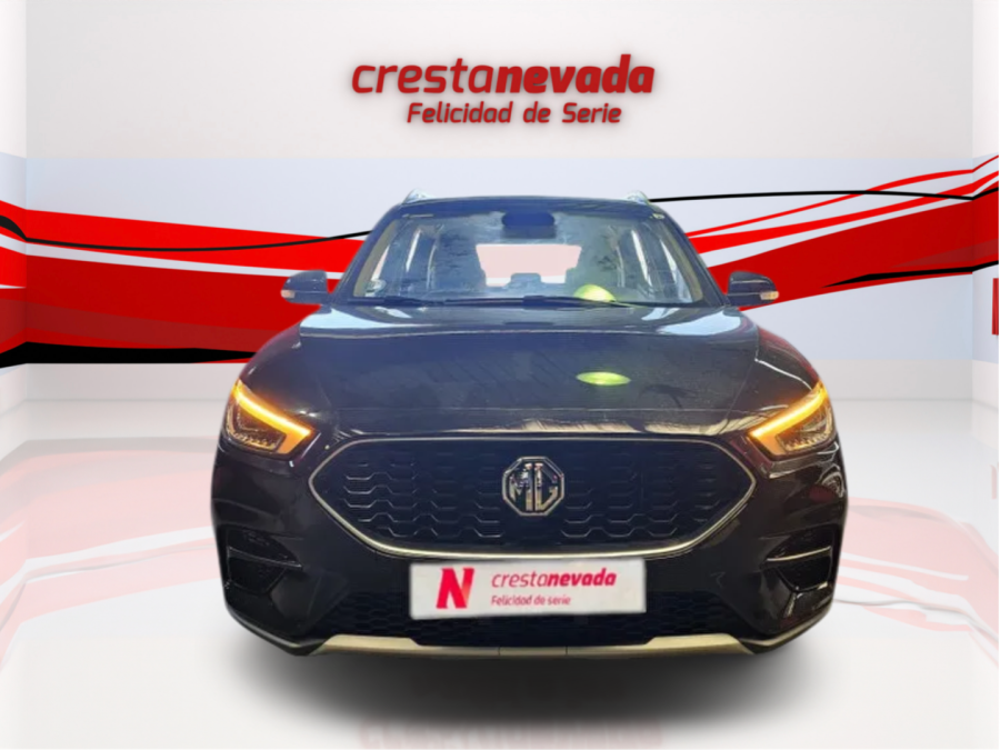 Imagen de Mg ZS